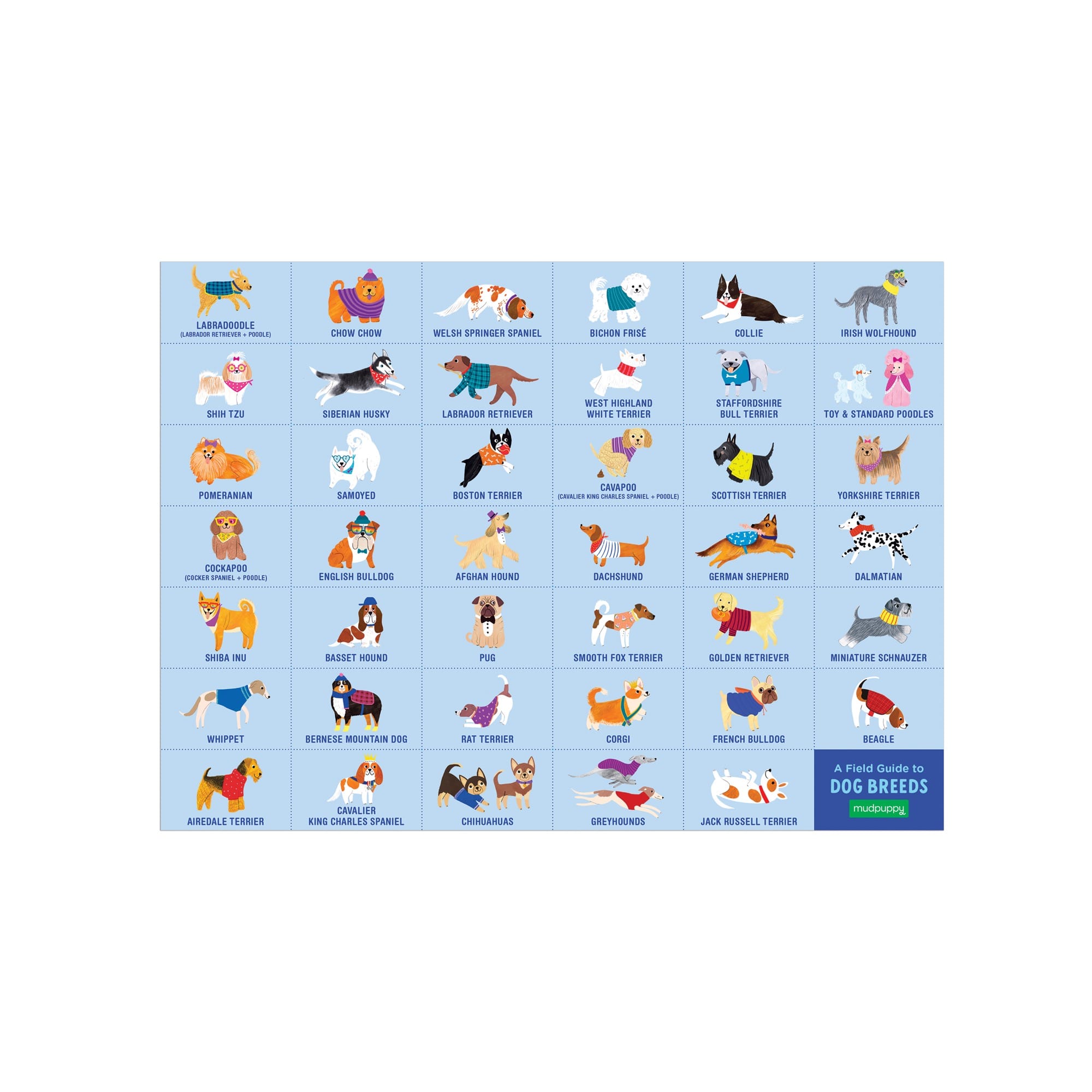 Doggie Days 64 Pc Search and Find Puzzle – Mudpuppy
