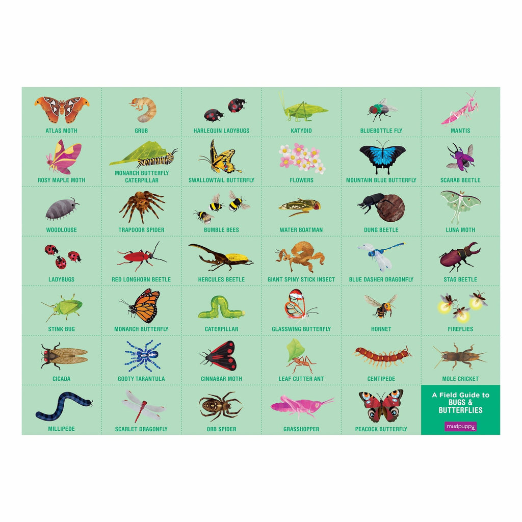 Bugs & Butterflies 64 Piece Search & Find Puzzle - Mudpuppy
