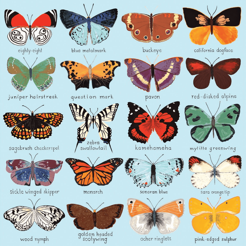 Butterflies Of North America 500 Piece Family Puzzle - Mudpuppy
