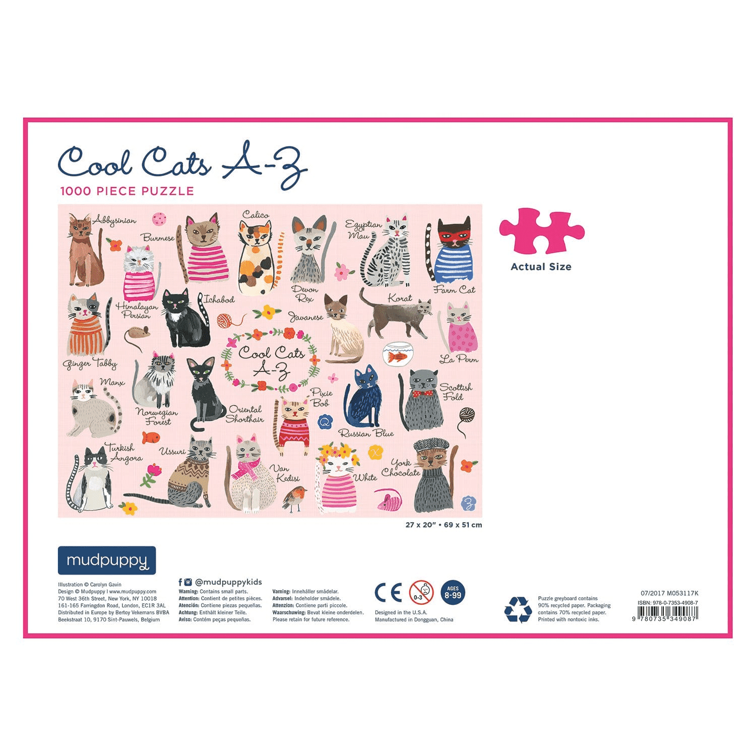 Cool online cats puzzle