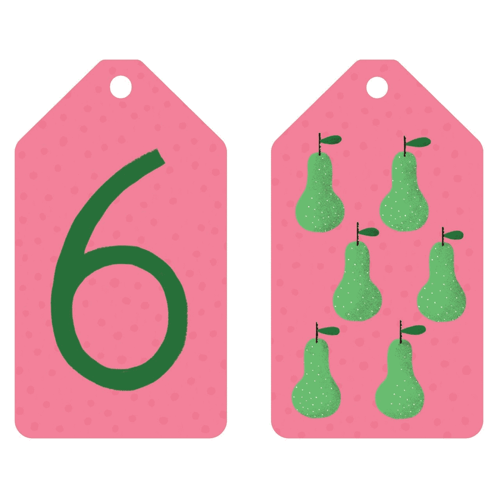 Counting Ring Flash Cards - Mudpuppy