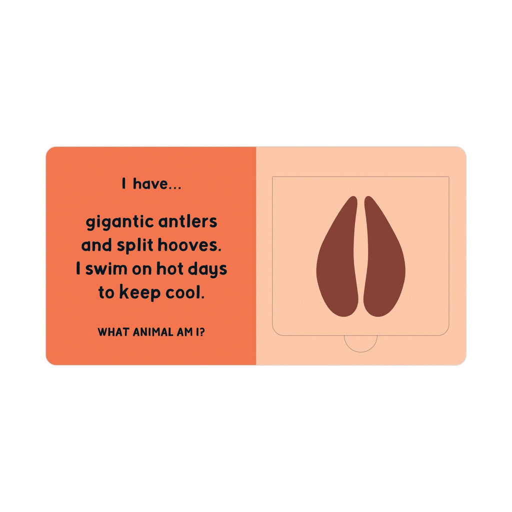 Forest Tracks: What Animal Am I? Lift-the-Flap Board Book - Mudpuppy
