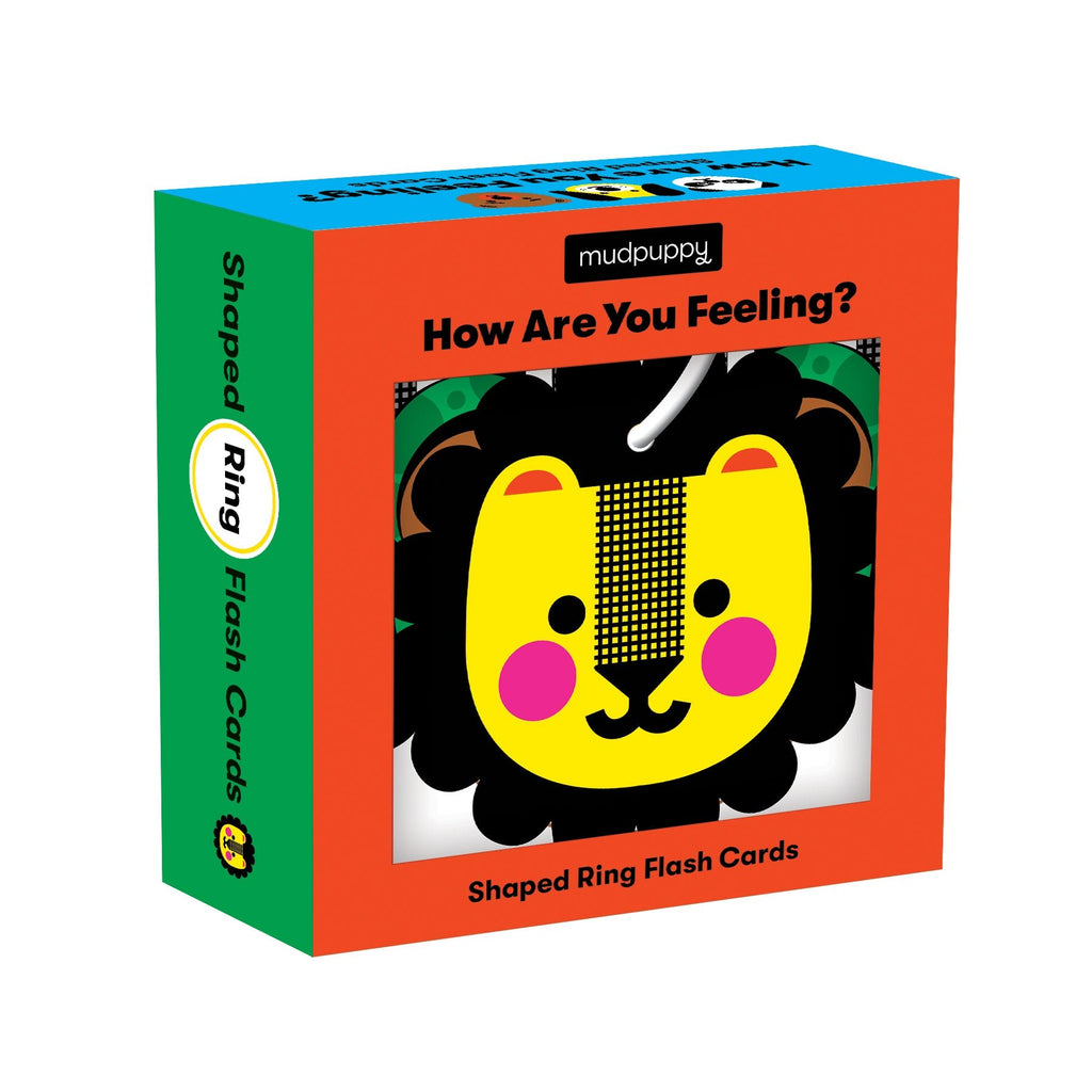 How Are You Feeling? Shaped Ring Flash Cards - Mudpuppy