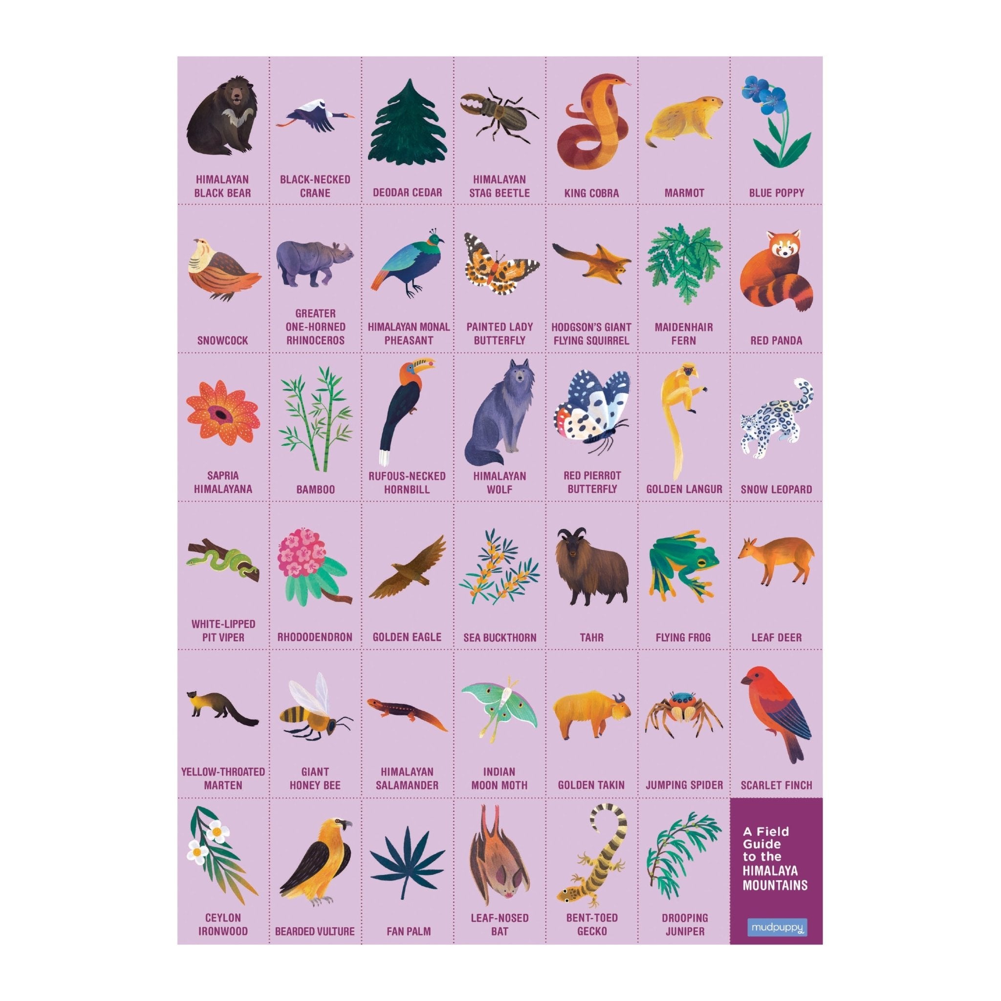 猿山ゴルジュ CGC 8.5 NM/MT+ Snorlax Holo 143 Japanese Pokemon 1997 Jungle Card