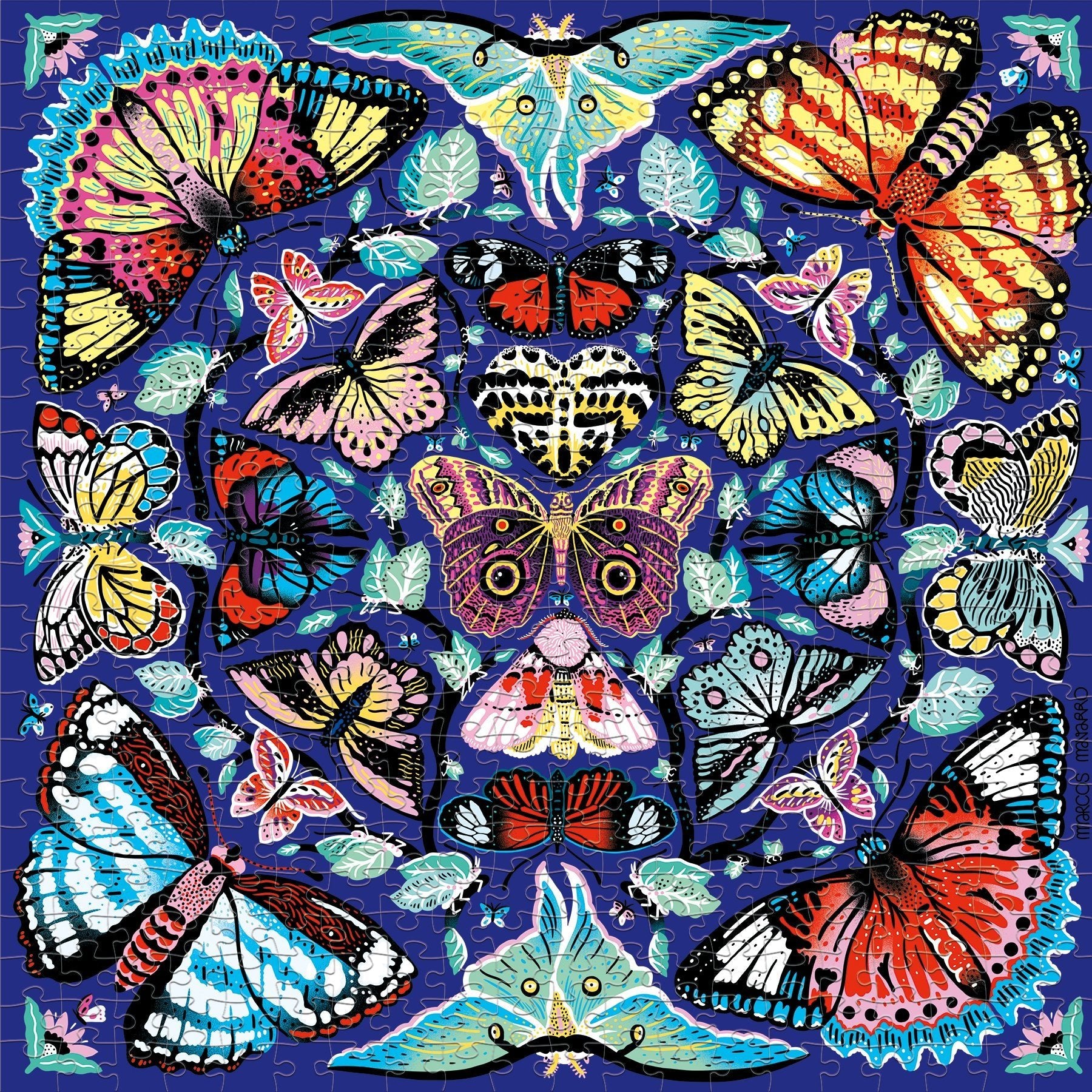 ドウセイカレシ ButterflyLip ドウセイカレシ Vol.1 butterfly lip