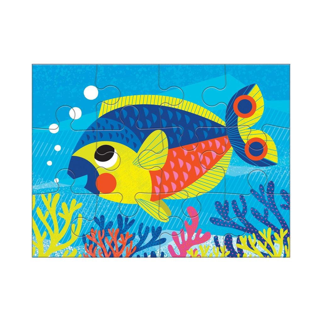 fidgety fish and friends box set : Bright, Paul, Galloway, Ruth Books the fish flingers fit comfortably on a finger Ocean Friends 4 in a