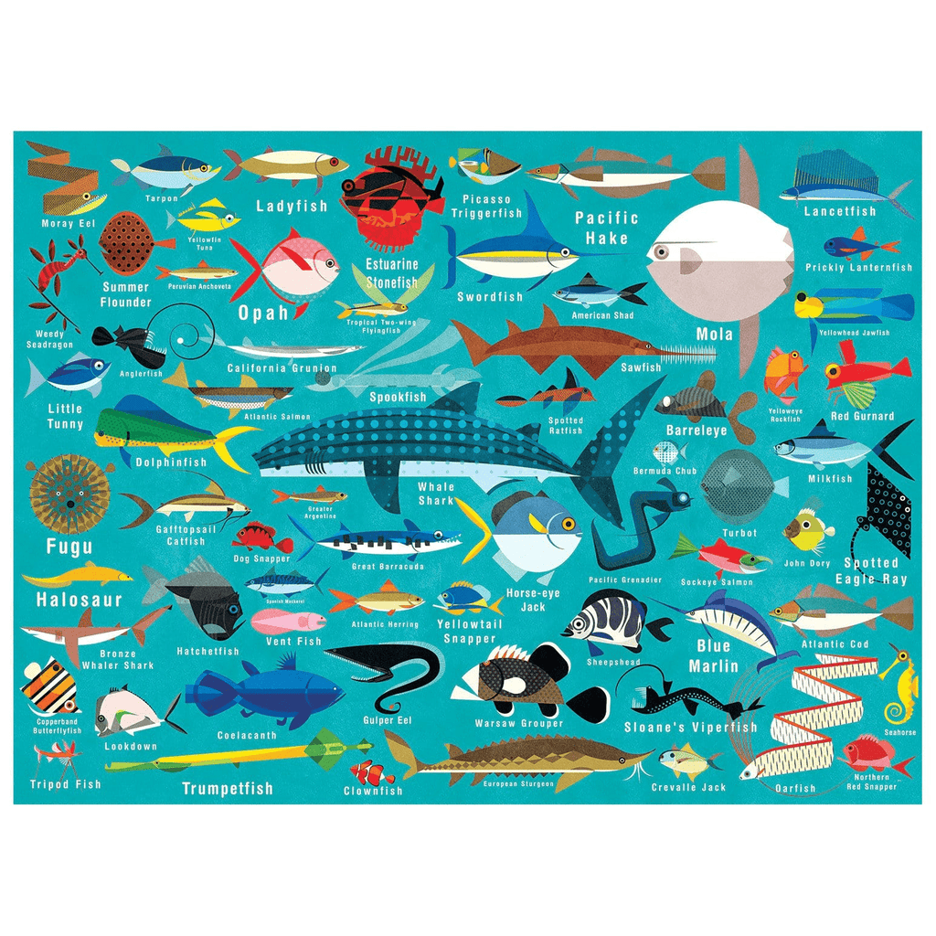 Ocean Life 1000 Piece Family Puzzle - Mudpuppy