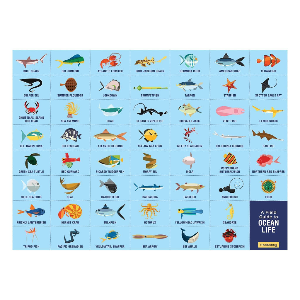 Ocean Life Search & Find Puzzle - Mudpuppy