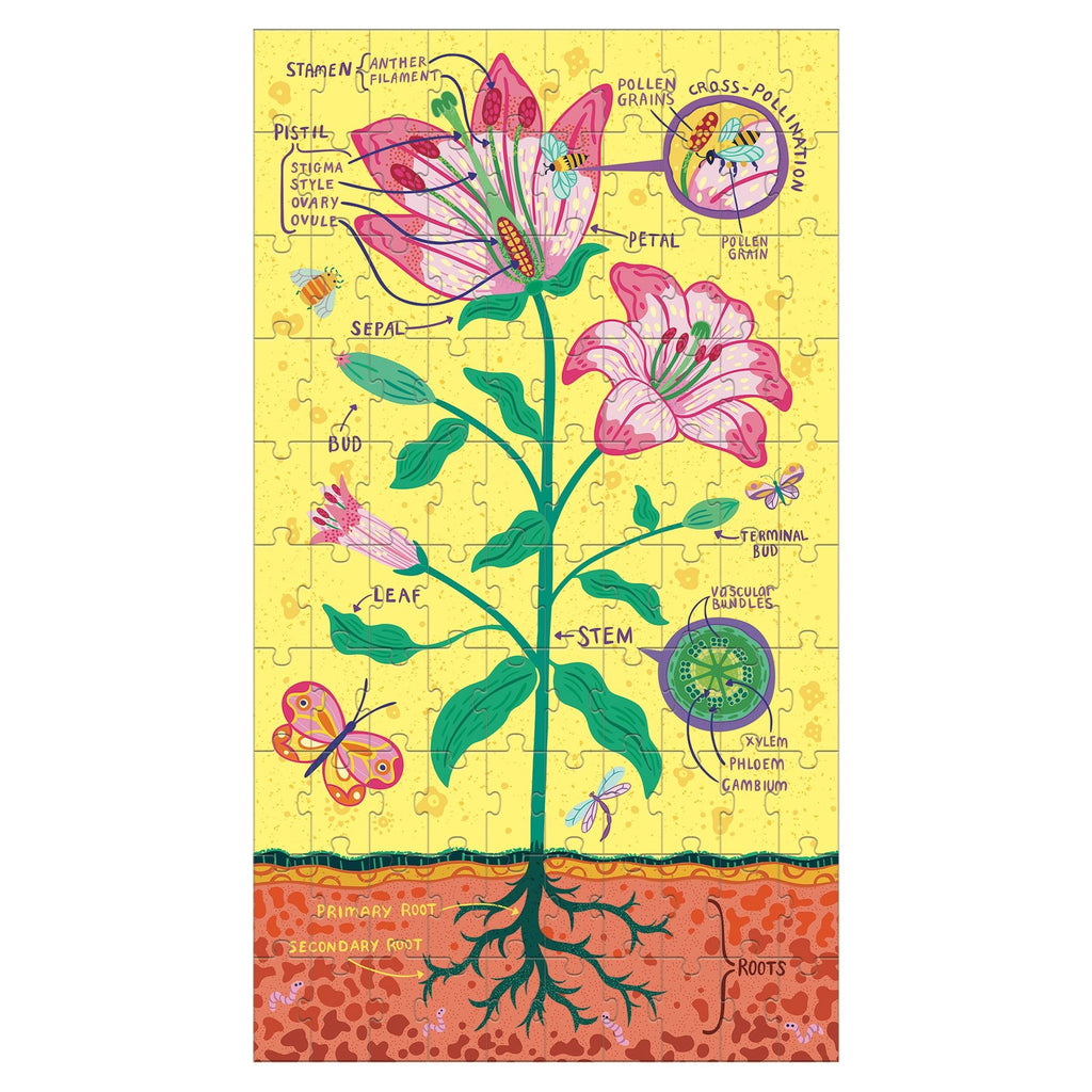 Plant Anatomy Science Puzzle Set - Mudpuppy
