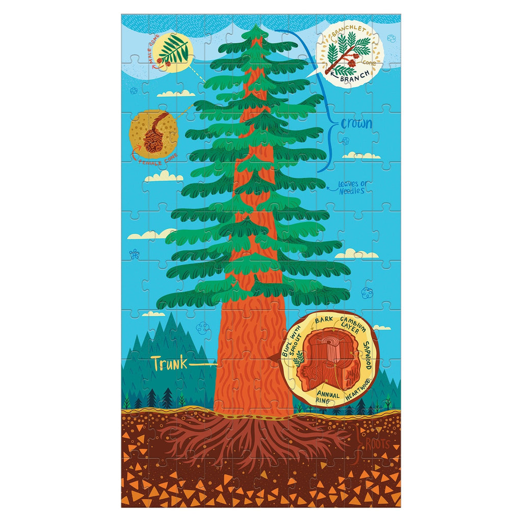 Plant Anatomy Science Puzzle Set - Mudpuppy