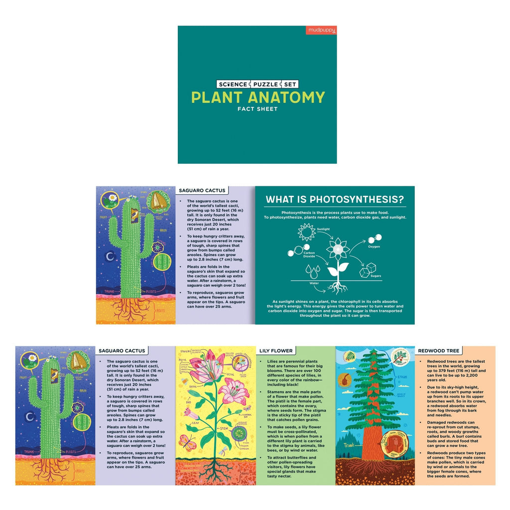 Plant Anatomy Science Puzzle Set - Mudpuppy