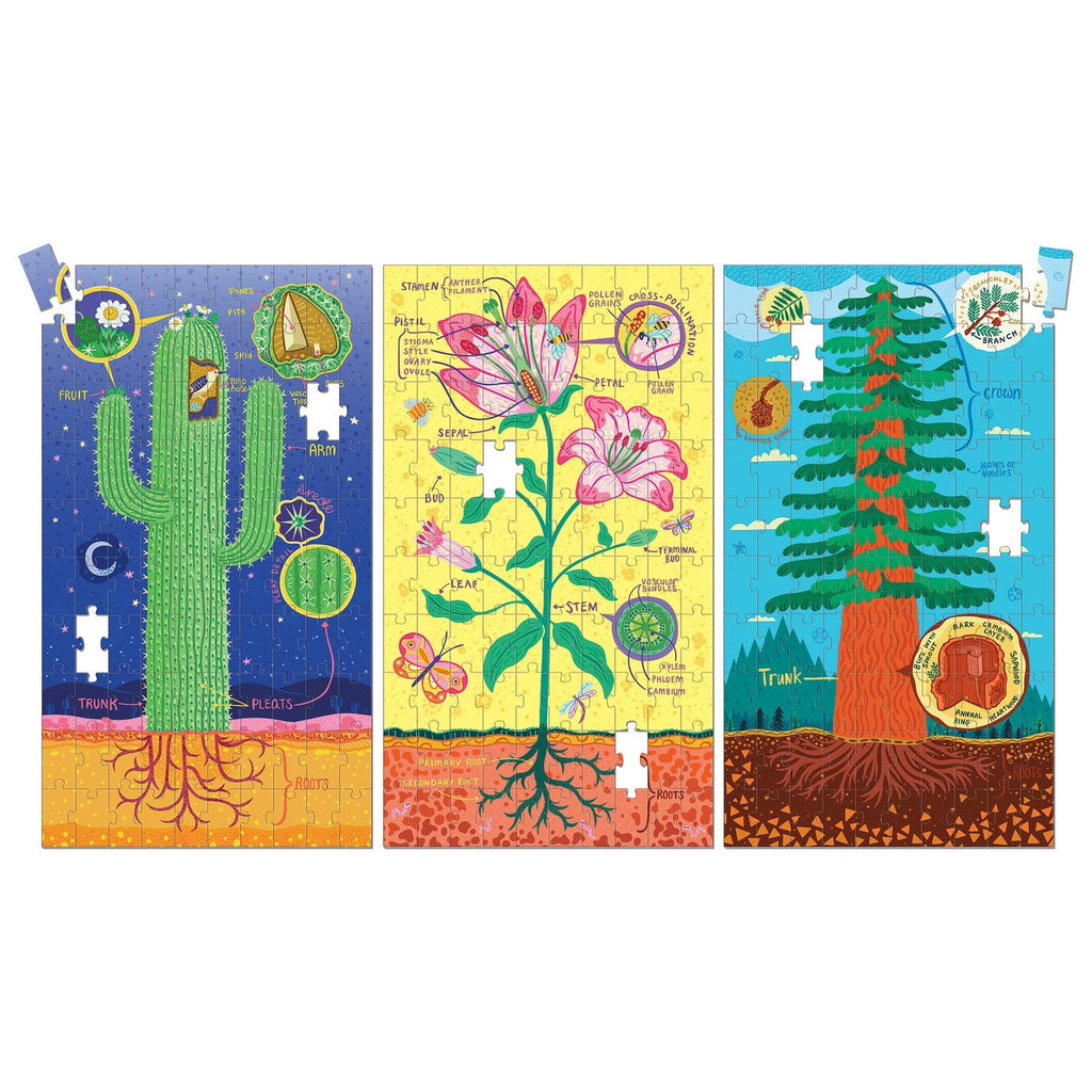Plant Anatomy Science Puzzle Set - Mudpuppy