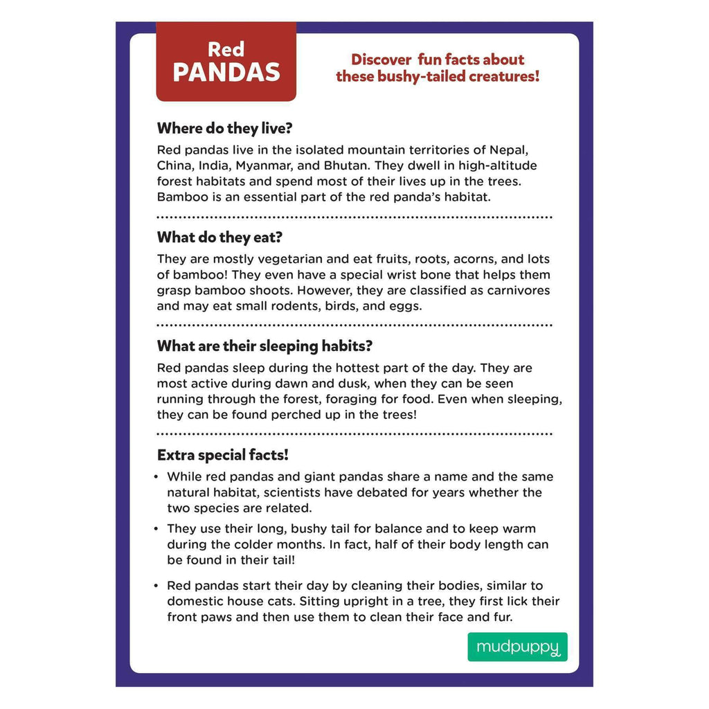 Red Panda Mini Puzzle - Mudpuppy