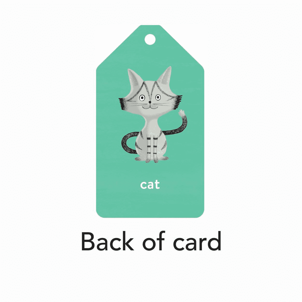 Spanish to English Ring Flash Cards - Mudpuppy
