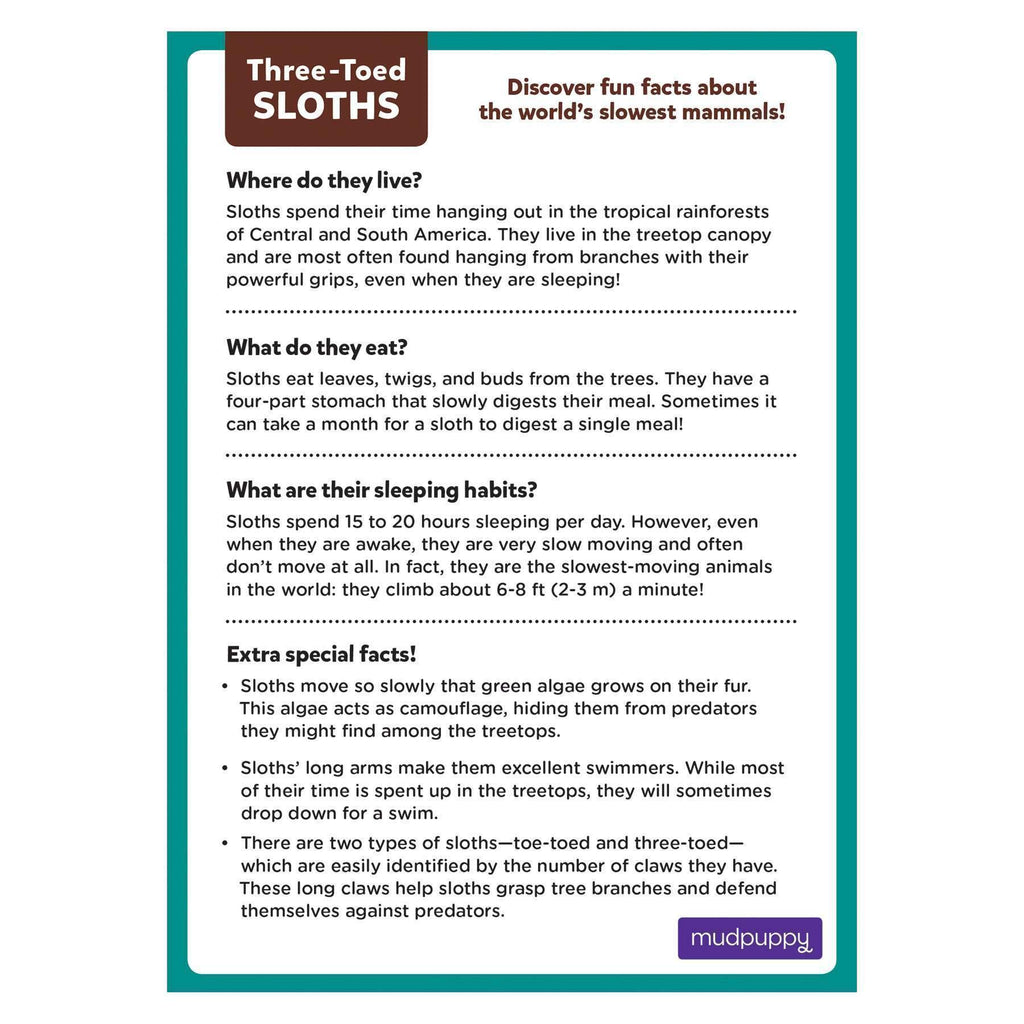 Three-Toed Sloth Mini Puzzle - Mudpuppy